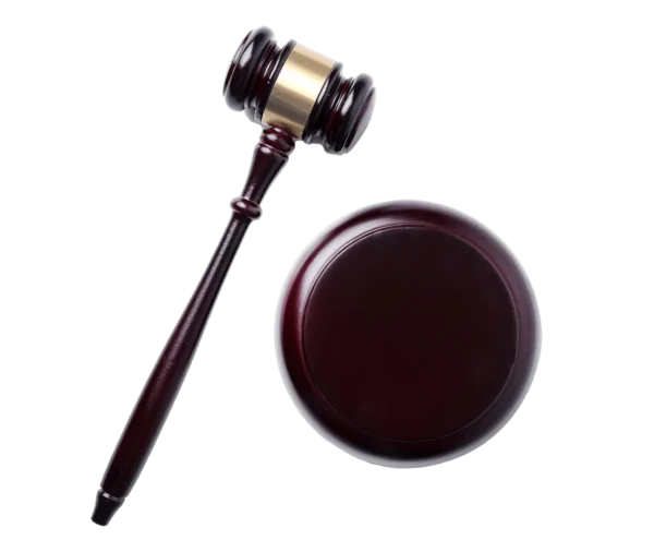 Judge Hammer
